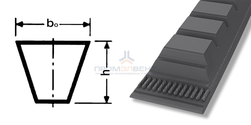ремень xpa 1000